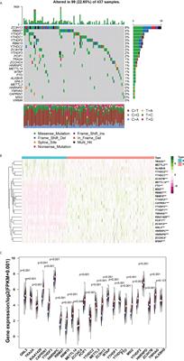 Expression profiles of m6A RNA methylation regulators, PD-L1 and immune infiltrates in gastric cancer